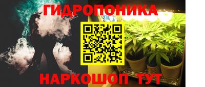 не бодяженный Кингисепп